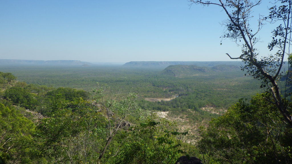 Kakadu